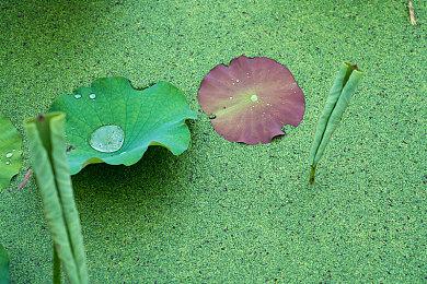《英雄传说：黎之轨迹2》“3与9 ”预告 10月27日发售